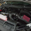 Roush Performance 2015 Up Cold Air Intake Kit - Image 5